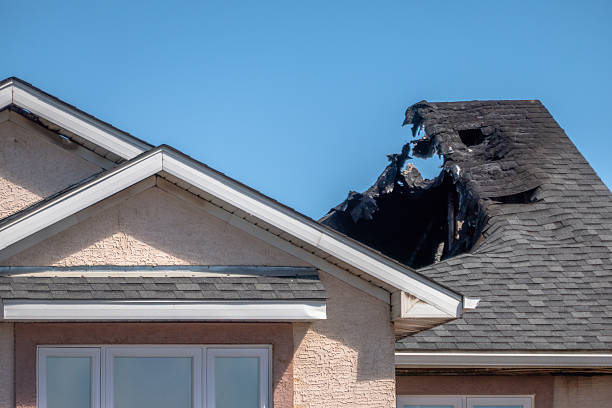 Top rated local Odor Removal specialists in Carefree, AZ